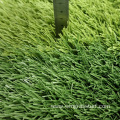 Synthetic Grass Lawn for Football Fields